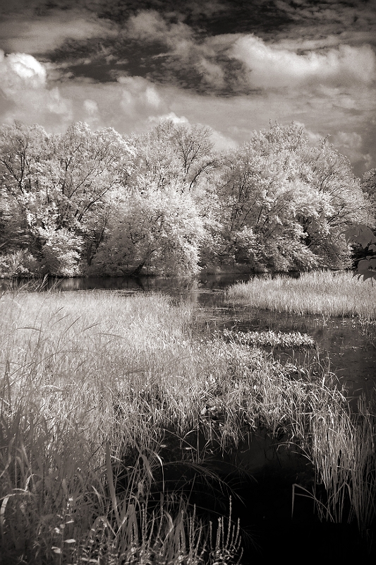 River View Near Kent, CT � Dave Hickey